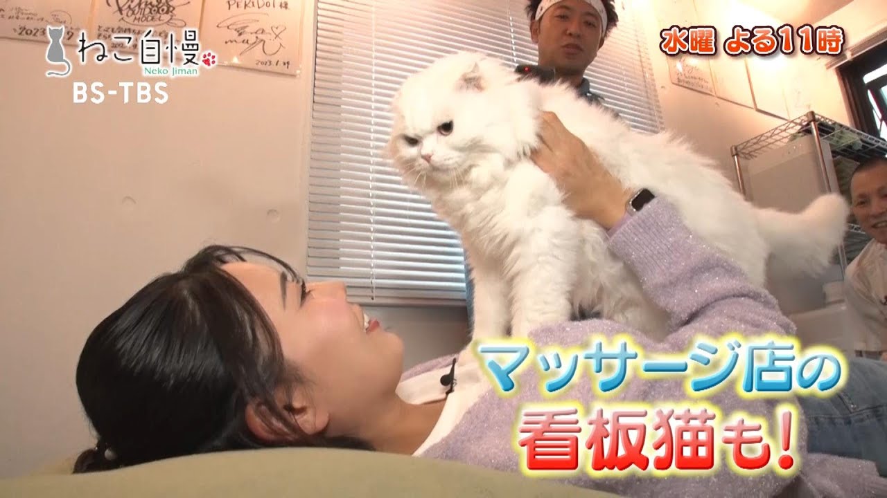 11/5(水)よる11時「ねこ自慢」ニャンコが寄り添ってくれる足ツボマッサージを体験!冷蔵庫を開けて飼い主を困らせる超賢いニャンコも登場!