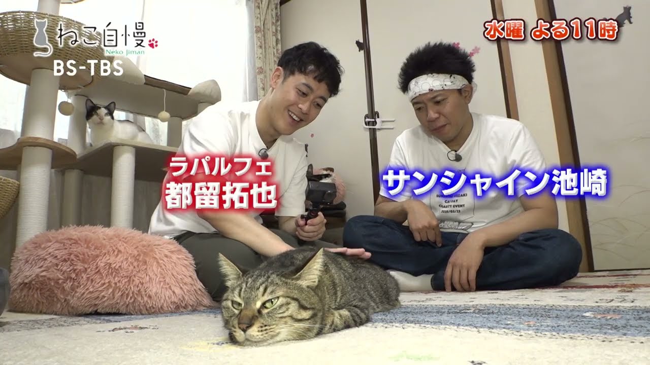 【TVerで配信中】5/14(水)よる11時「ねこ自慢」お年寄りを笑顔にするアイドルニャンコが登場！猫と一緒に楽しく英語を学ぶ英語教室を紹介！