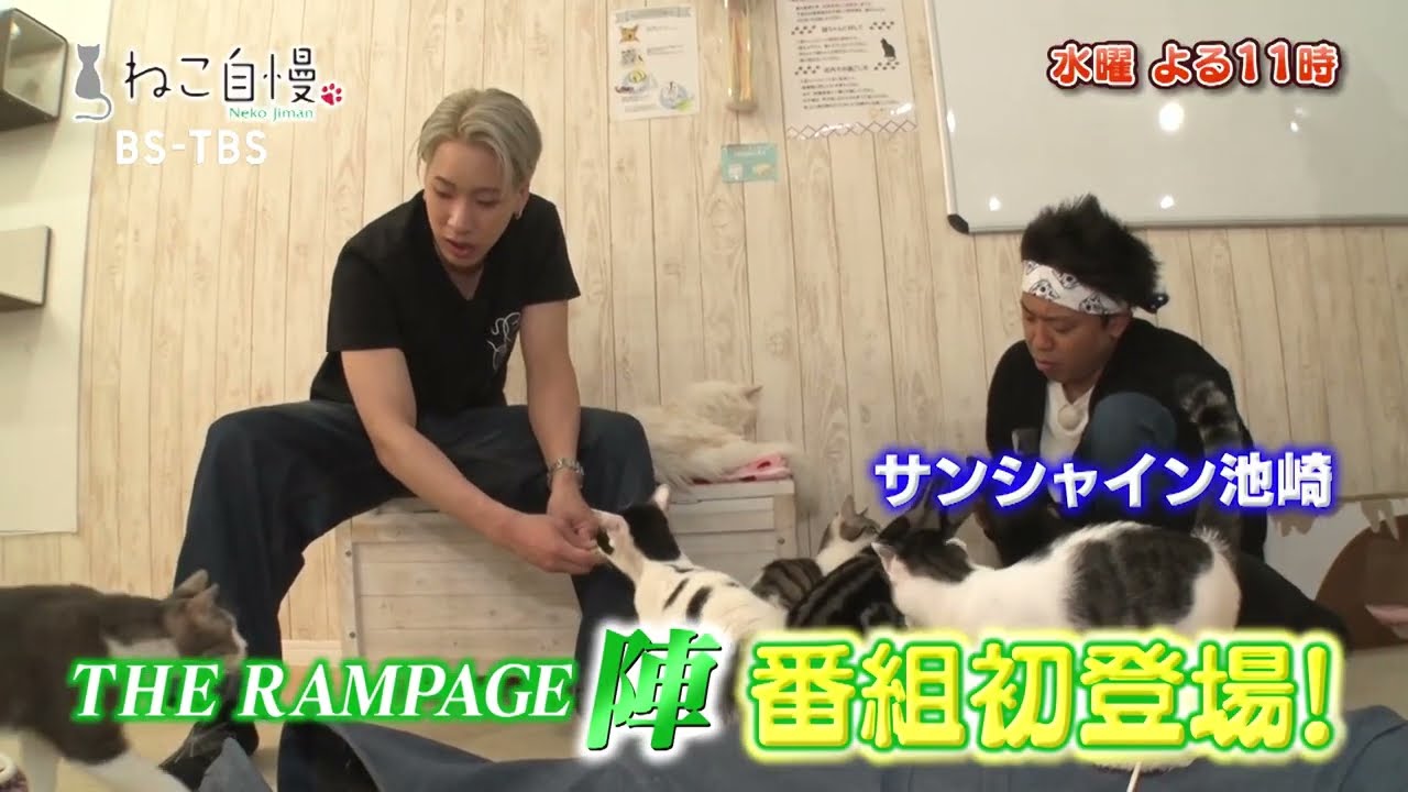 7/9(水)よる11時「ねこ自慢」THE RAMPAGE陣が初登場！サンシャイン池崎と猫を巡り熱いバトル⁉ 猫好き建築士が保護猫のためにDIY